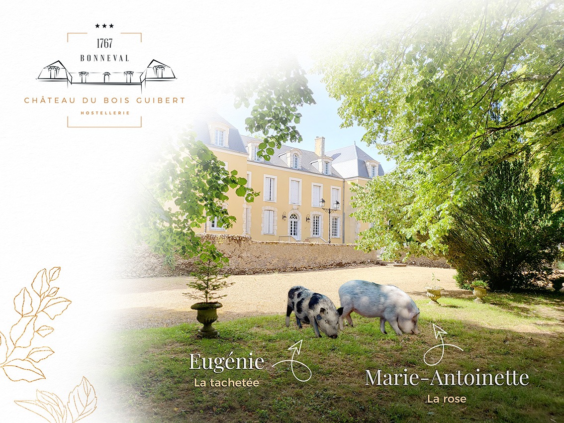 Mini Parc du Château du Bois Guibert (Bonneval, la petite Venise de la Beauce), découvrez nos animaux : Eugénie et Marie-Antoinette nos cochons